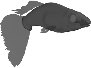 Guppy 3D Model