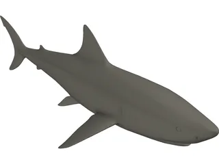 Shark White Male 3D Model