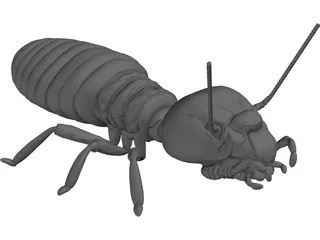 Termite 3D Model