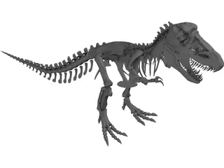 Tyrannosaurus Rex Skeleton 3D Model