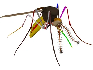 Mosquito 3D Model