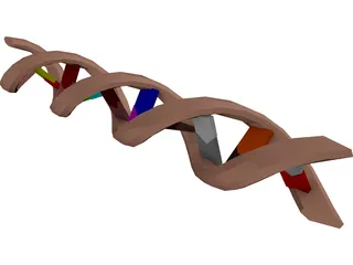 DNA Molecule 3D Model