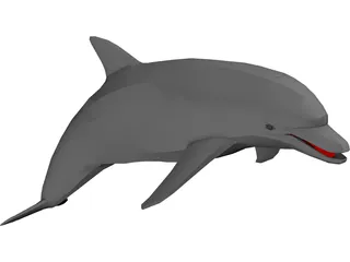 Dolphin 3D Model