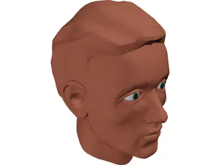 Face Muscles and Head 3D Model