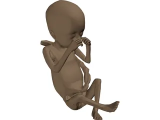 Fetus 3D Model