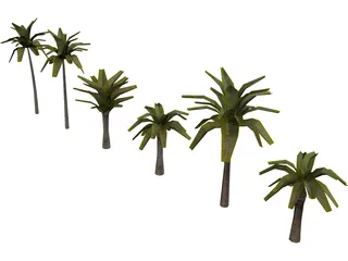 Palm Collection 3D Model