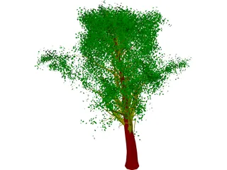 Tree 3D Model