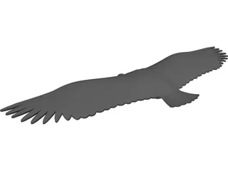 Vulture 3D Model