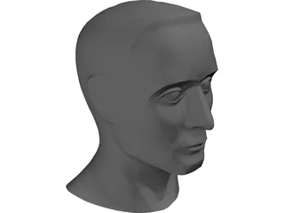 Head Male 3D Model