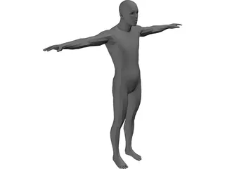 Human Body Male 3D Model