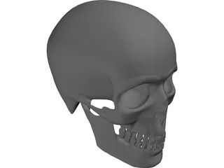 Skull 3D Model