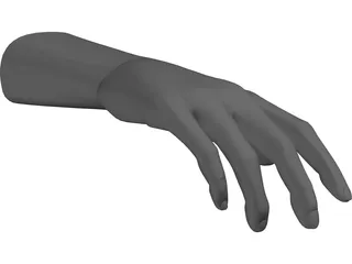 Hand Male 3D Model