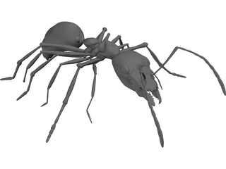 Ant 3D Model