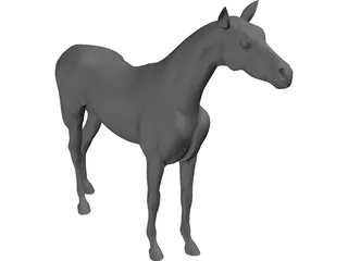 Horse 3D Model