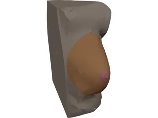 Breast 3D Model