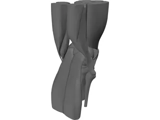 Knee 3D Model