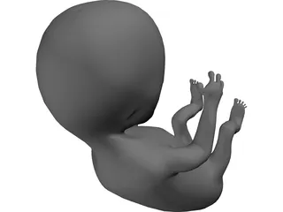 Baby Fetus Infant 3D Model