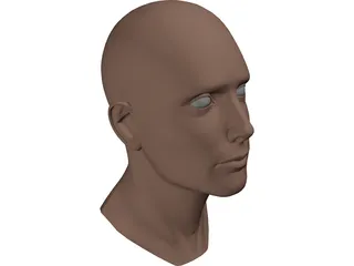 Head Male 3D Model