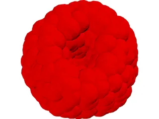 Raspberry 3D Model