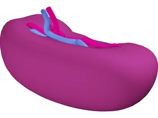 Spleen 3D Model