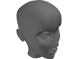 Human Head 3D Model