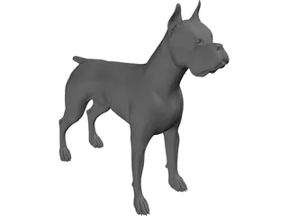 Dog Boxer 3D Model