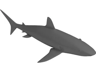 Shark 3D Model