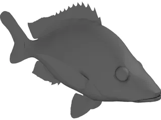 John Dory Type Fish 3D Model