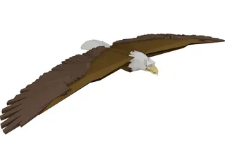 Bald Eagle 3D Model