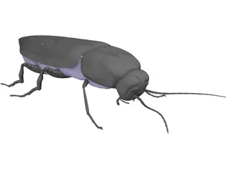 Firebeetle 3D Model