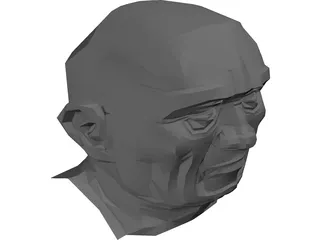 Head 3D Model