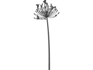 Bell Agapanthus Flower 3D Model