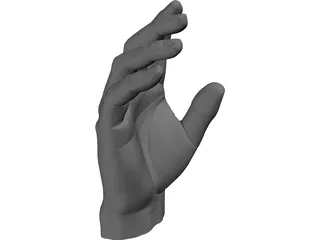 Hand 3D Model