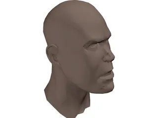 Human Head Face 3D Model