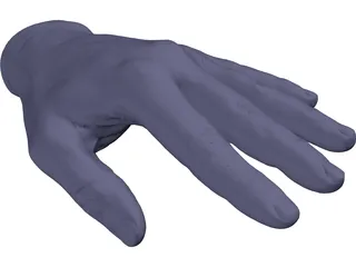 Hand Left 3D Model