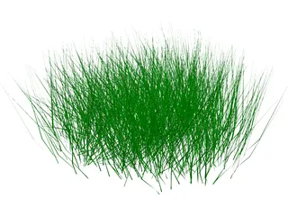 Grass 3D Model