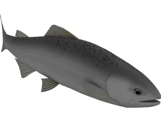 Happy Fish 3D Model