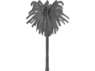 Palm Tree 3D Model