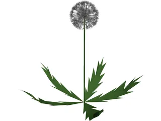 Dandelion 3D Model