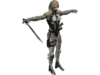 Raiden 3D Model