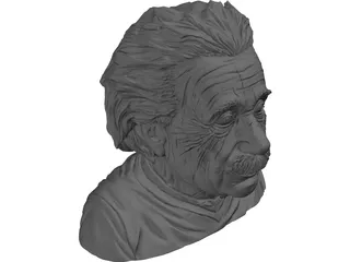 Albert Einstein 3D Model