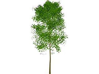 Tree 3D Model