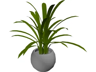 Plant in Pot 3D Model