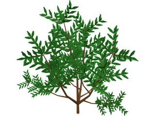 Azalea Bush 3D Model