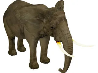 Elephant 3D Model