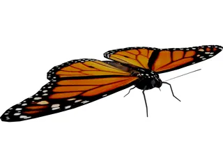 Butterfly 3D Model