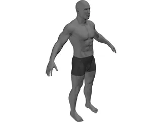 Male 3D Model