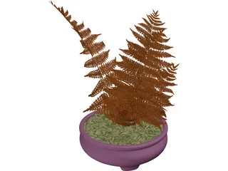 House Plant 3D Model