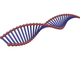 DNA Double Helix 3D Model