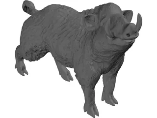 Wild Boar 3D Model